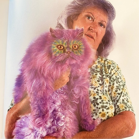 Why Paint Cats Feline Aesthetics Soft Cover Book - Picture 11 of 12